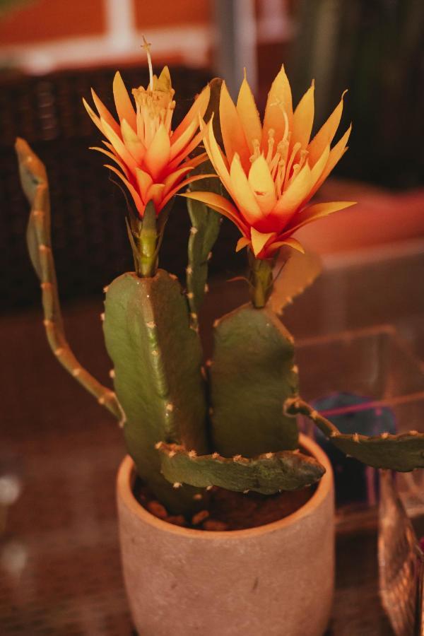 Villa Loretana Yurimaguas 外观 照片